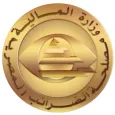 Egyptian eInvoicing