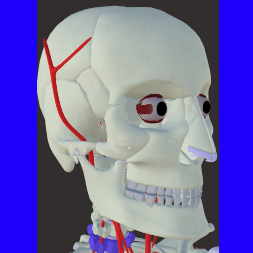 Anatomy Essentials-3D Atlas