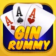 Gin Rummy Offline Classic Game
