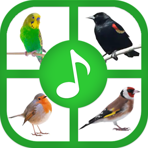 Birds Sounds And Ringtones