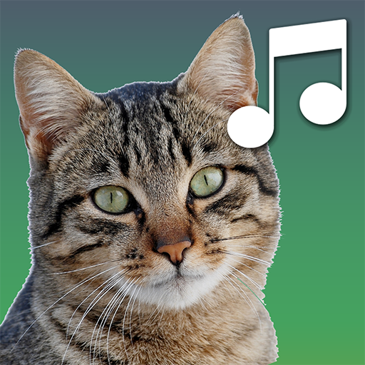 Sounds of cats