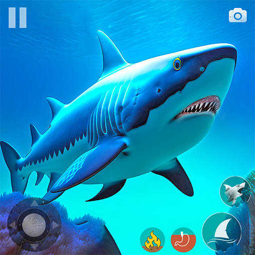 Real Shark Attack Game