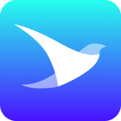Swift Invoice