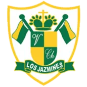 Colegio Virgen de Chapi Web