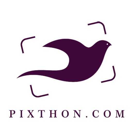 Pixthon eBook