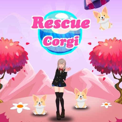 Rescue Corgi
