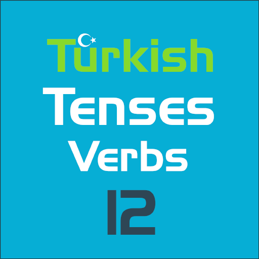 Türk Zamanları 12