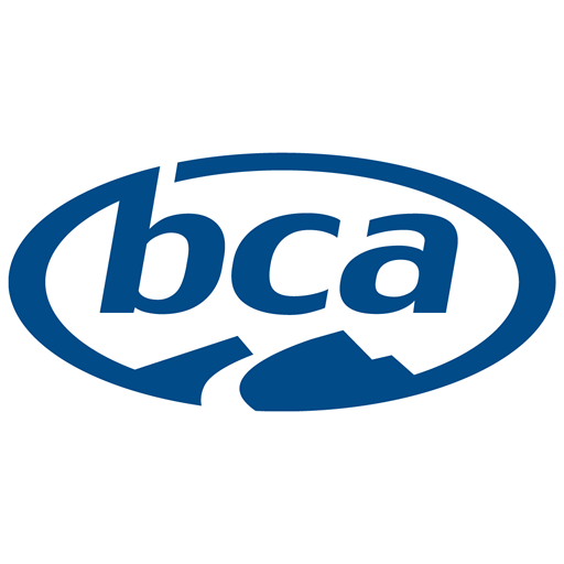 BCA