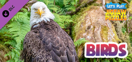 Let's Play Jigsaw Puzzles: Birds