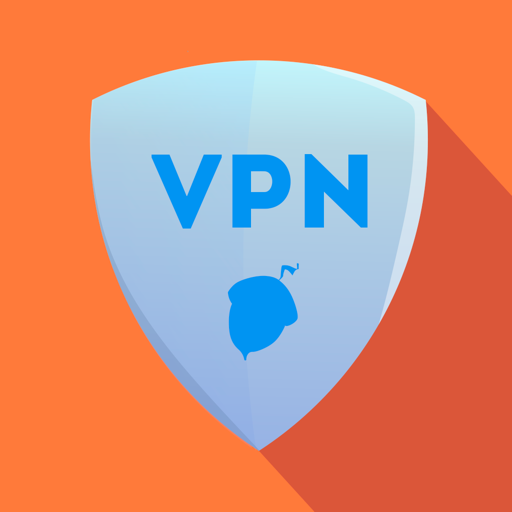 BelkaVPN: fast VPN for privacy