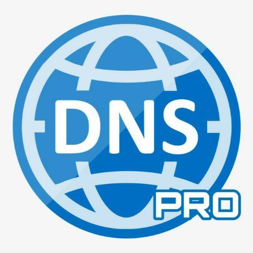 DNS PRO