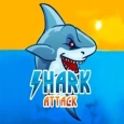 Shark Attack