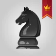 Chess Puzzles - Board game