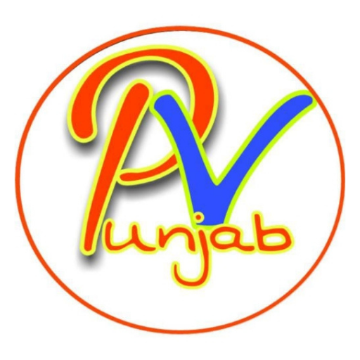 Positive Vibes Punjab