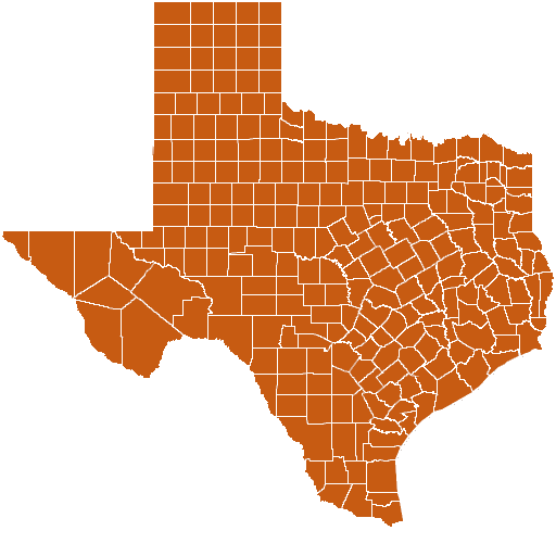 Texas Map Puzzle