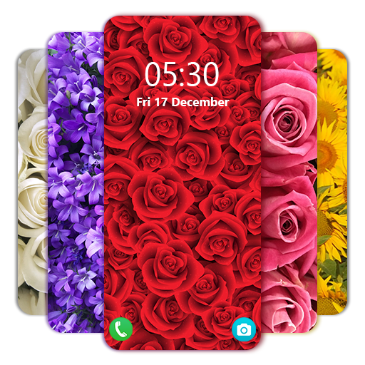 HD Flower Wallpapers 4k