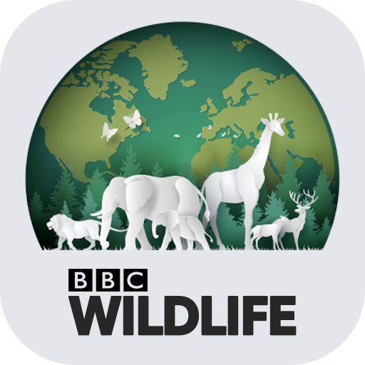 Nature TV: BBC Wildlife