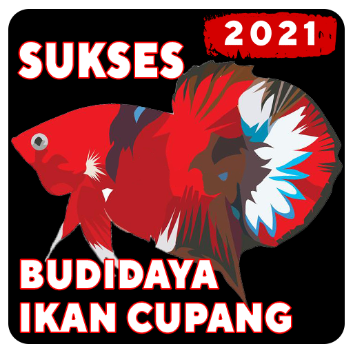 Cara Ternak Ikan Cupang 2021 Lengkap
