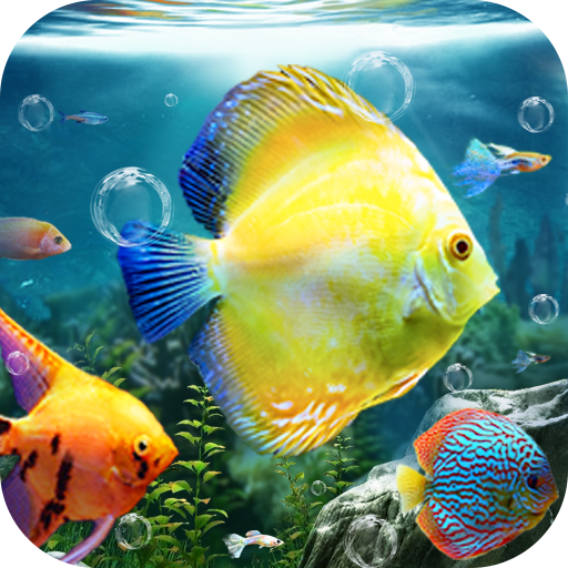 Aquarium Fish Live Wallpaper