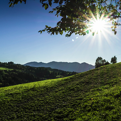 The Weather in Germany