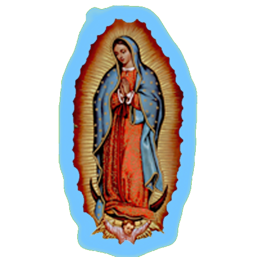 virgen de Guadalupe