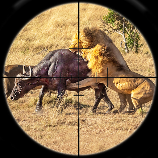 Animals Hunting Gun Games 3D