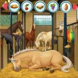 Princess Horse Caring