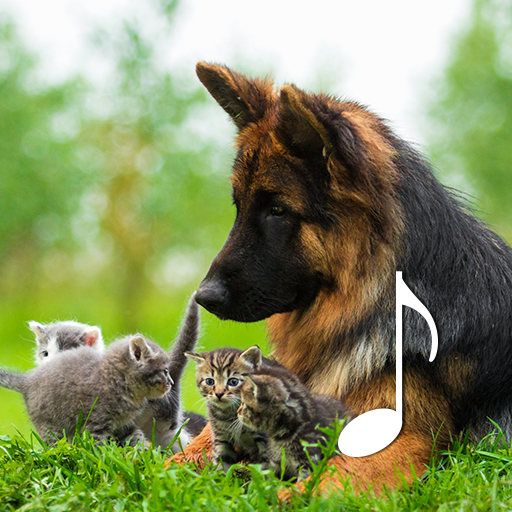 Cat & Dog Sounds – Pet sounds