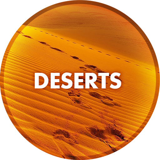 Desert Wallpapers in 4K