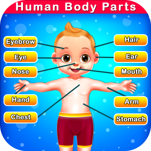 Human Body Parts - Preschool K