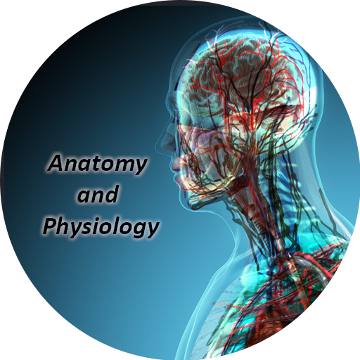 Anatomy and Physiology App