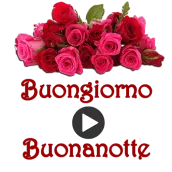 Stickers animati Buongiorno