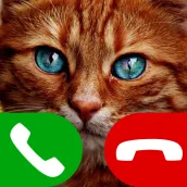 नकली कॉल बिल्ली खेल