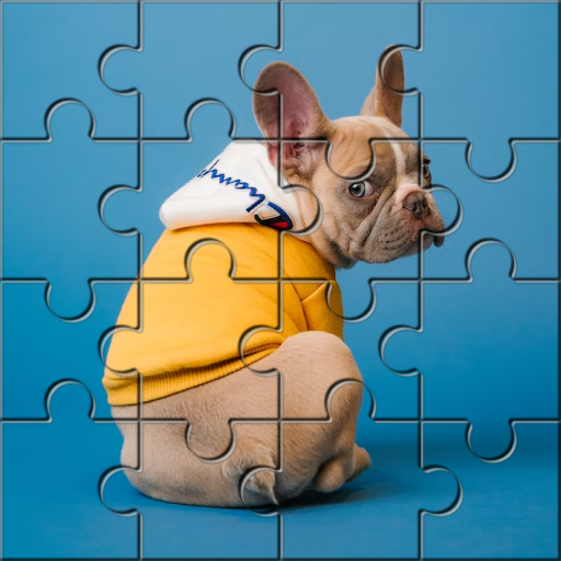 Jigsaw HD: Puzzle Piece
