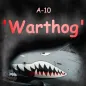 Endless Flyer- A-10 Warthog