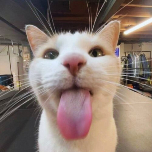 Cats Stickers for WASticker