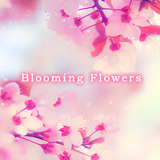 Blooming Flowers Theme