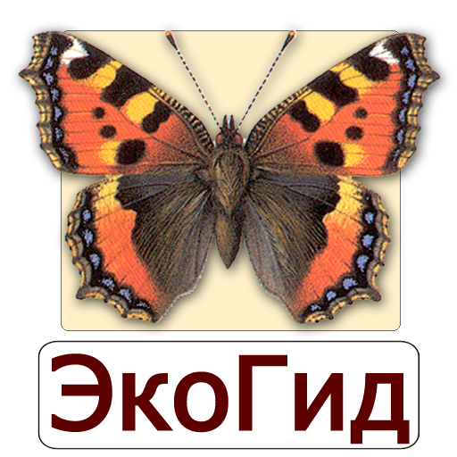 ЭкоГид: Дневные бабочки