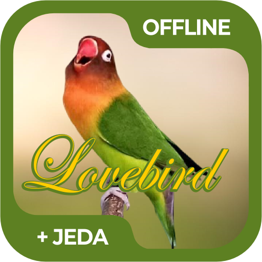 Masteran Burung Lovebird Offli