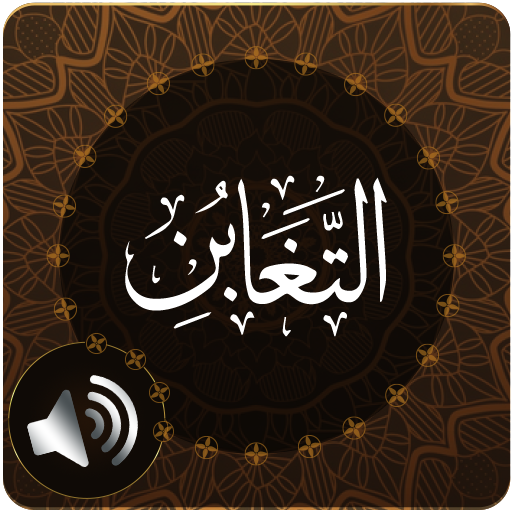 Surah Taghabun Audio