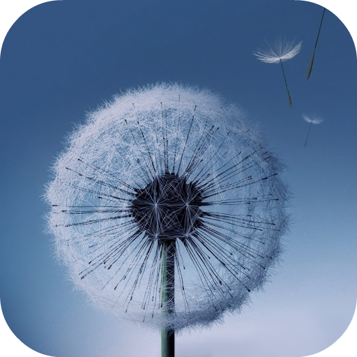 Dandelion Live Wallpaper