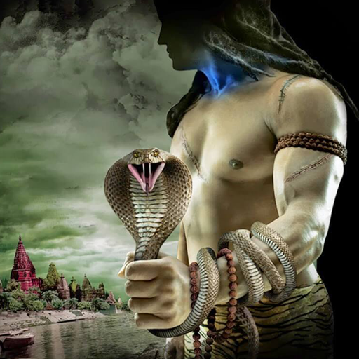 Shivay Wallpaper - Mahadev Sta