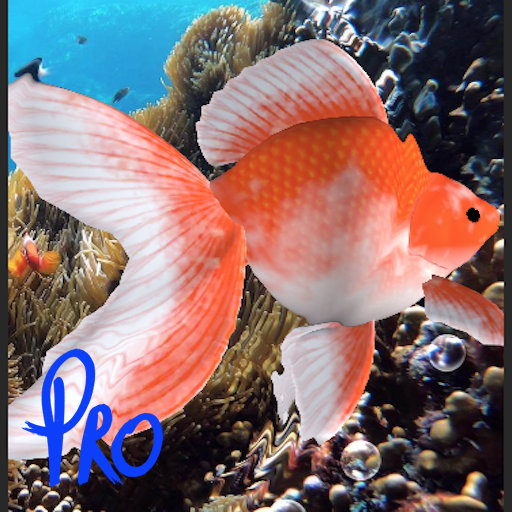 3D Gold Fish Live Wallpaper Pro