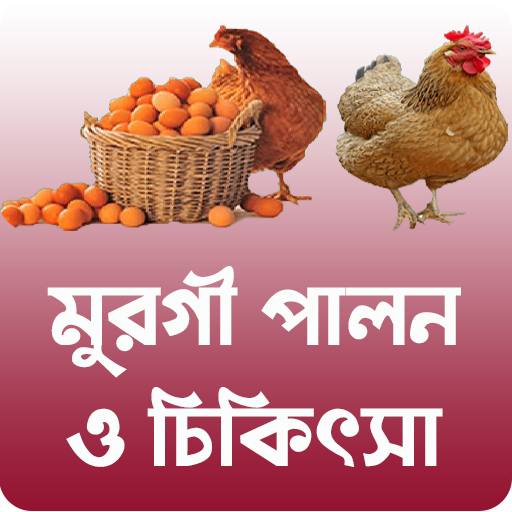 মুরগি পালন ও চিকিৎসা ~ ব্রয়লার