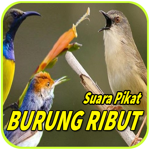 MP3 Suara Pikat Burung Ribut