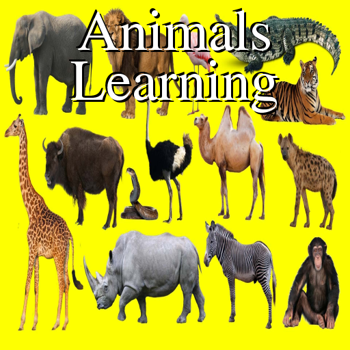 Animals Learning for Kids