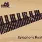 Xylophone Real: 2 mallet types