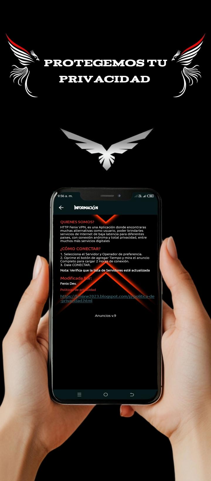 Fénix VPN connection status