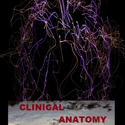 Clinical Anatomy free