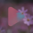 Live Wallpapers Realme C73